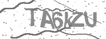visual captcha